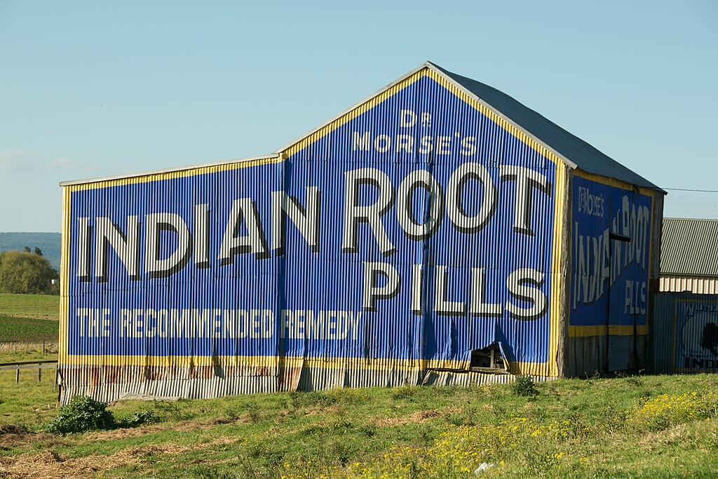 The Indian Root Pills building in Maitland NSW.